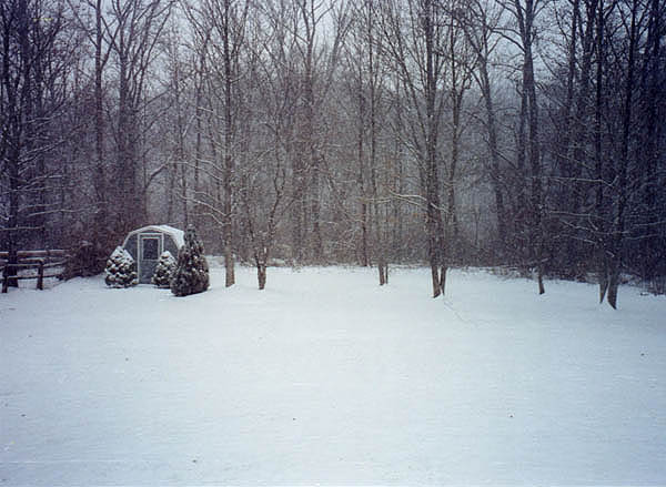 The backyard covered in snow
